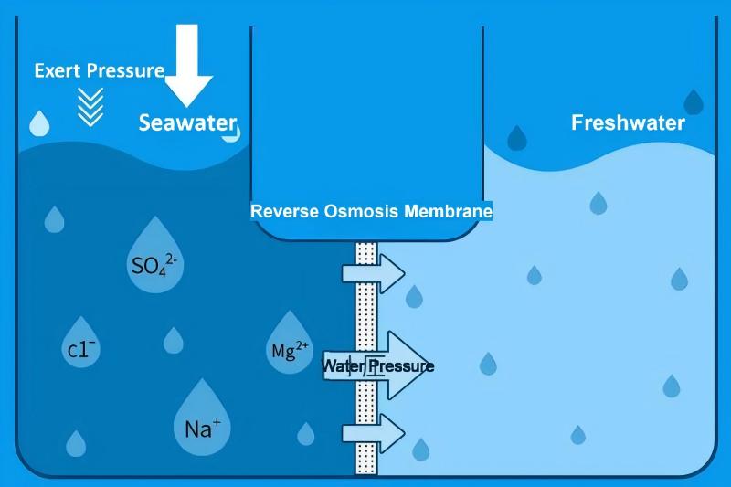 Industrial Seawater Desalination RO Systems Manufacturer - Tonglida